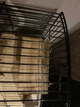 Cage-Accessories Perches Platform Wood-Toys Parrot-Rack Hamster Grinding Gerbils Mice