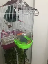 Caja de plástico transparente para baño de aves, jaula de Herramientas de limpieza de aves para bañera, accesorios colgantes para baño de loros, B8P6, venta al por mayor