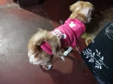 Ropa de dos patas para mascotas, abrigo cálido de lana con dibujos animados para perros y gatos, con orejas grandes, Otoño e Invierno