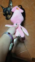 Gato de calamar para perro, juguete de pulpo, mascota de peluche BB, cuerda de perrito, mordedores de juguete con sonido rosa