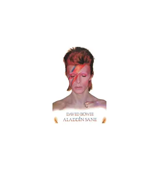 POSTER DAVID BOWIE ALADDIN SANE 
POSTER DAVID BOWIE ALADDIN SANE