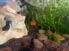 Paisajismo del tanque de peces, decoración de acuario con forma volcánica, adornos de rocalla, herramienta de oxigenación, 2021