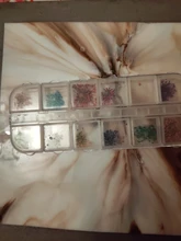 1 caja de flores de resina UV decoración natural, Floral etiqueta 3D seco de belleza de uñas arte Epoxy molde de joyería