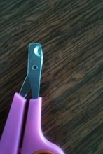 Cutter Trimmer Clippers Claw Grooming-Scissors Professional Dog Cat Pet-Cat Animals Stainless-Steel