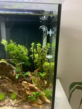 Solución indicadora de CO2 para acuario, Monitor de líquido de carbono vítreo, comprobador de dióxido, 15ml