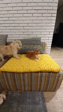 Cama para perros de invierno, camas suaves para perros y mascotas, esterilla, sofá cálido, cojín de Mascota, colchón para perros pequeños, medianos, grandes, gatos, Chihuahua, Cama para Perro