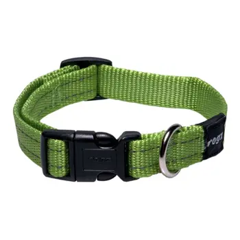 Dog collar rogz utility m-16mm 260-400mm Green 
Dog collar rogz utility m-16mm 260-400mm Green