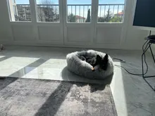 Invierno cálido cuadradas Super sueño reparador de perro cama de felpa larga lavable Cat Mat cesta para perros grandes cachorro casa nido cojín sofá