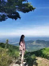 HOUZHOU camisas a cuadros mujeres linterna manga Cardigan Vintage rosa cuadros blusa bonita moda abotonada Oversize