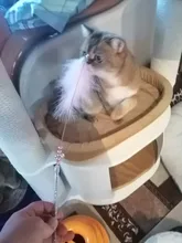 Interactive-Toy-Stick Feather-Wand Cat-Teaser-Toy Cat-Supplies Bell with Gorgeous Quality