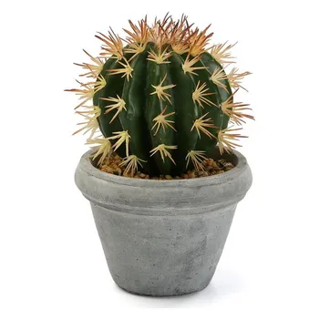 Decorative Plant Plastic Cactus
Decorative Plant Plastic Cactus