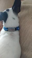 Collar de nailon personalizado con estampado de pata de gato y perro pequeño, ajustable, para cachorros y gatitos