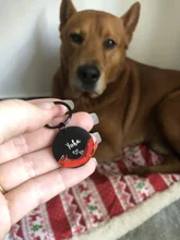 Pet-Id-Tag Pet-Accessories Puppy Dog-Collar Engraved Dog Personalized for Cat