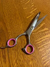 Scissors Pet-Supplies Dog Stainless-Steel Portable Cat And