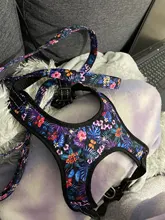 Leash-Set Vest Dog-Harness Reflective No-Pull Dogs French Bulldog Printed Small Fashion