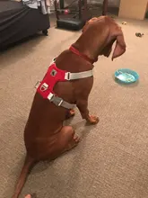 Arnés para perros reflectante ajustable, chaleco de pecho para perros pequeños, medianos y grandes, arnés protector de adiestramiento al aire libre para perros