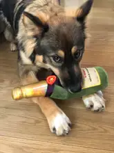 Squeaky-Toy Sounder Champagne Puppy Dog Labrador Beer Retriever for Cheese Smiling Elegant