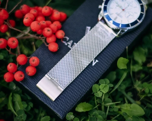 Кварцевые часы CADISEN C9067 - aliexpress