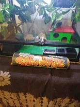 Reptile-Cushion Coconut-Pad Natural-Mat Lizard Habitat Snake-Turtle Spider for Pet-Supplies