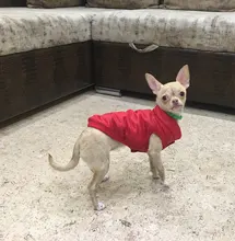 De invierno abrigo para perros ropa para perros cálido espesar sólido perro de colores ropa para perro pequeño perro rojo verde Navidad estilo perro grande chaqueta