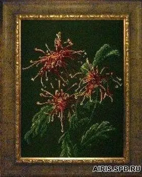 71209 set for embroidery with beads Krasa and creativity 'chrysanthemum in sadu' 31,6*43,1 cm
71209 set for embroidery with beads Krasa and creativity 'chrysanthemum in sadu' 31,6*43,1 cm