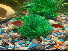 Aquarium Decorative Turf-Ornaments Landscape-Accessories Simulation-Plant Plastic 1pcs/artificial