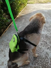 Mochila de nailon de colores para Gato, mochila multifunción con arnés y correa para perros pequeños