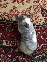 Ropa de Gato caliente para mascotas pequeñas, disfraces de gatos de dibujos animados, lana suave, abrigo de gatito, chaqueta, Otoño e Invierno