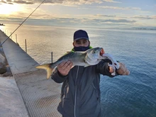 Rompin-Anillos ovalados de división ovalada de acero inoxidable, surtido de señuelos giratorios, emerillones de pesca, Conector de aparejos de 16, 18 y 21mm, 50 unids/lote