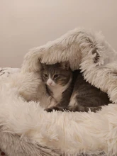 Cama de felpa redonda para mascotas nido de gato semicerrado para Comodidad para dormir profunda en invierno, cama para gatos, pequeña esterilla, cesta, perrera suave, novedad
