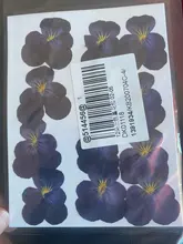 1 paquete Real secada de La Flor seca de las plantas para bricolaje molde Molde de resina rellenos de resina colgante collar joyería de uñas de arte UV Expoxy flor