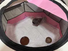 Carrier-Tent Cage Puppy-Kennel Playpen Dog Cat Fence Pink Outdoor Foldable Large-Space