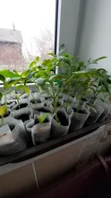 Planting-Bags Nursery-Bags Seedling-Pots Biodegradable Fabric Non-Woven Aeration Eco-Friendly
