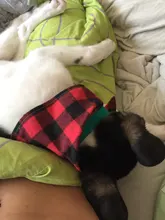Pañuelo clásico a cuadros para perros y gatos, accesorios para el cuidado de mascotas, bufanda pañoleta, toalla de Saliva