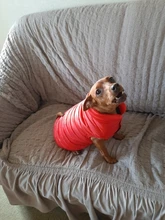 De invierno abrigo para perros ropa para perros cálido espesar sólido perro de colores ropa para perro pequeño perro rojo verde Navidad estilo perro grande chaqueta