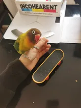 Bird-Toys Bird-Accessories Cockatiel Parrot-Stand Skateboard Parakeet Budgies Traning
