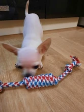 Dog-Toys Pet-Supplies Puppy Dogs Funny Small Cotton 1pcs for Pet-Chew-Toys Random-Colors