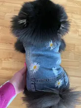 Chaleco vaquero de primavera para perros pequeños, ropa de Tzu para perros Yorkshire Terrier, ropa estilo vaquero para cachorros, chaqueta para Chihuahua, ropa para gatos