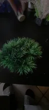 Aquarium Decorative Turf-Ornaments Landscape-Accessories Simulation-Plant Plastic 1pcs/artificial