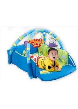 Gym with blanket activities
Gym with blanket activities