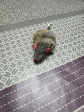 12 PCS Mouse Real Fur Mixed Loaded Toys Interactive Toys Pet Cat Kitty Toys For Cat To