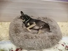 Invierno cálido cuadradas Super sueño reparador de perro cama de felpa larga lavable Cat Mat cesta para perros grandes cachorro casa nido cojín sofá