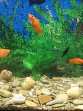 Decor Background Grass-Ornament Aquarium-Decoration Plant Fish-Tank Artificial Plastic