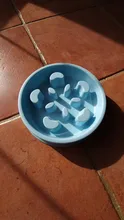 Eat Slow Dog Bowl Slow Feeder Bath Pet Supplies Pet Accessories Dog Slow Feeder Bowl
