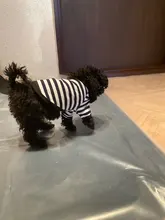 T-Shirt Vest Dogs Thin Striped Pet Small Soft for And Medium Dog-Cloth Round-Neck