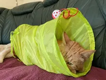 Juguete de túnel para mascotas, tubos de juego con 2 agujeros, bolas plegables, antiarrugas, para cachorros, hurones y conejos