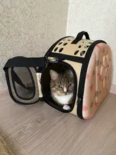 Bolso de hombro transpirable para mascotas, mochila plegable de viaje para el hombro, para exteriores