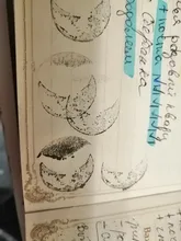 Sellos de goma madera, conjunto de sellos de madera, serie Luna, decoración Diy, papelería, sello