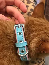 Puppy-Dog-Cat-Collar Engraved Bling Custom Personalized Pet-Dog Dogs Chihuahua Collars