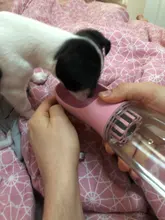 Drinking-Bottle Pet-Cups Water-Feeders Feeding Portable Dog Cat 550ML Health Geekinstyle